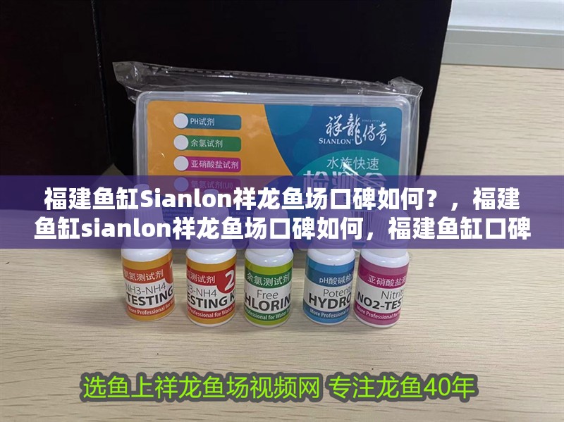 福建魚缸Sianlon祥龍魚場口碑如何？，福建魚缸sianlon祥龍魚場口碑如何，福建魚缸口碑如何