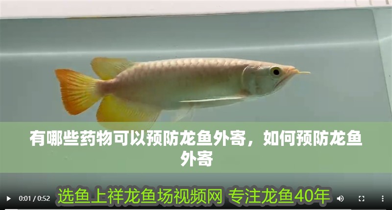 有哪些藥物可以預防龍魚外寄，如何預防龍魚外寄