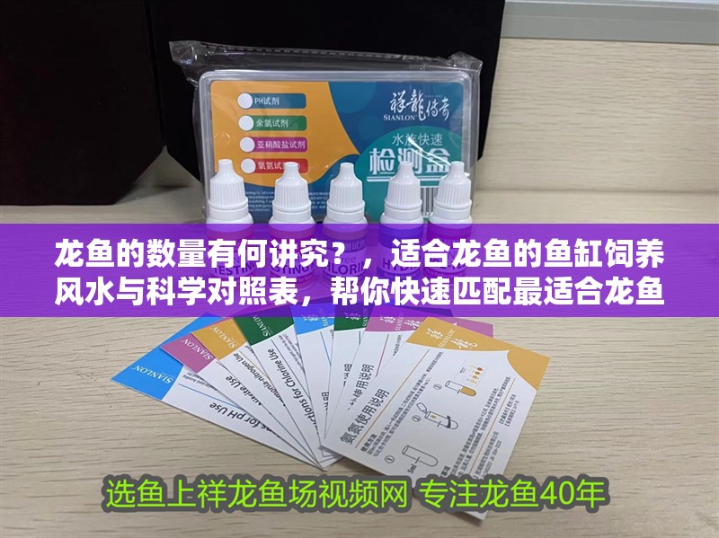 龍魚的數量有何講究？，適合龍魚的魚缸飼養風水與科學對照表，幫你快速匹配最適合龍魚