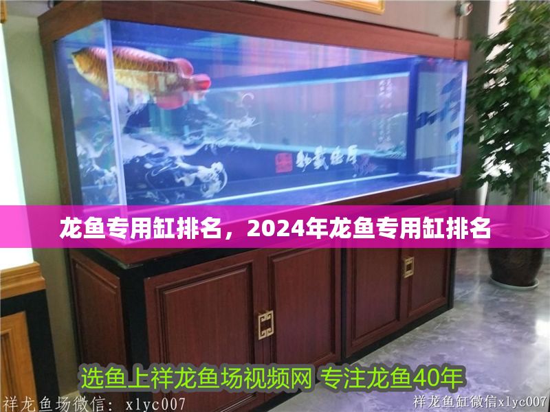龍魚(yú)專(zhuān)用缸排名，2024年龍魚(yú)專(zhuān)用缸排名