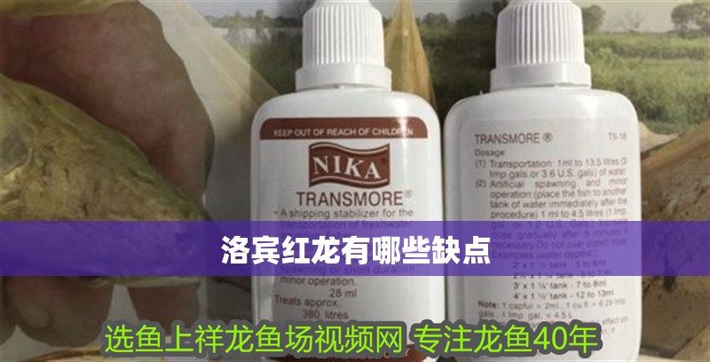 洛賓紅龍有哪些缺點