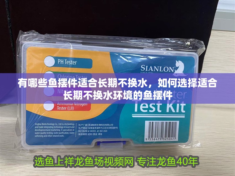 有哪些魚擺件適合長期不換水，如何選擇適合長期不換水環境的魚擺件