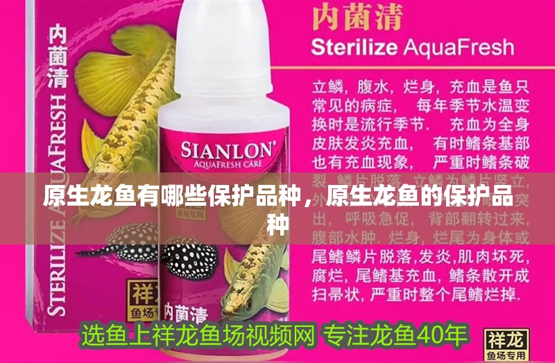 原生龍魚有哪些保護品種，原生龍魚的保護品種