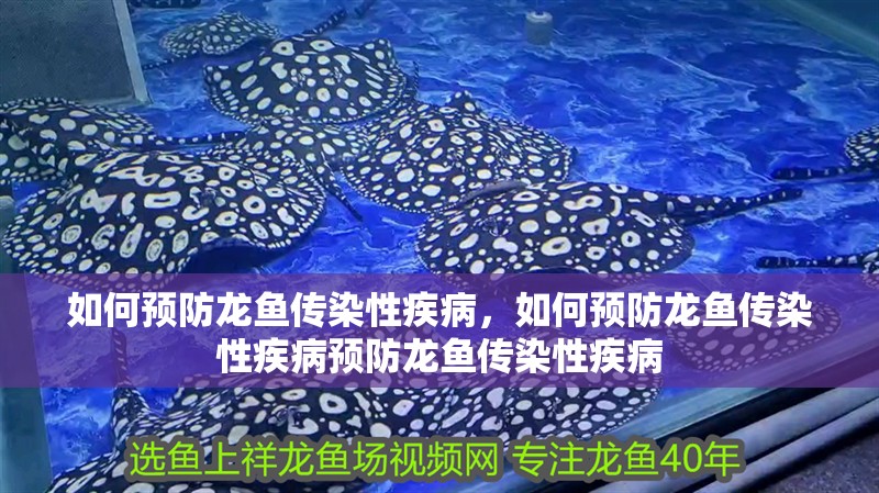 如何預防龍魚傳染性疾病，如何預防龍魚傳染性疾病預防龍魚傳染性疾病 如何預防龍魚傳染性疾病，如何預防龍魚傳染性疾病預防龍魚傳染性疾病 龍魚百科