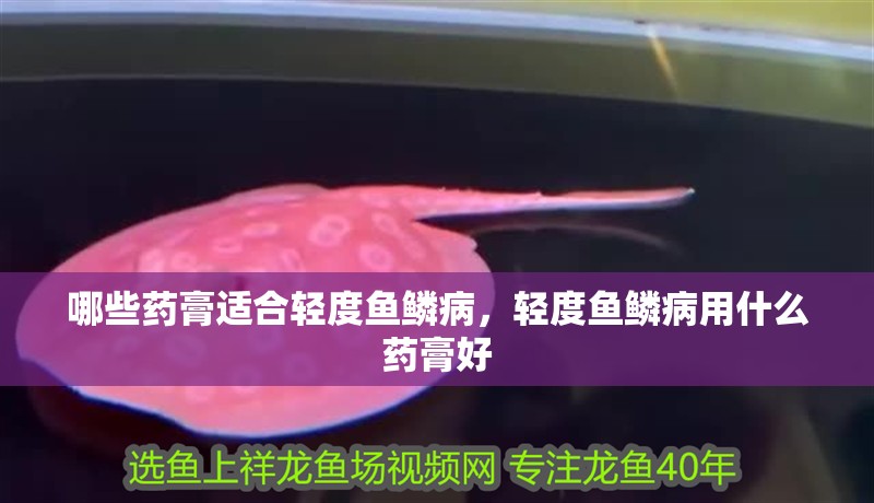哪些藥膏適合輕度魚鱗病，輕度魚鱗病用什么藥膏好 哪些藥膏適合輕度魚鱗病，輕度魚鱗病用什么藥膏好 龍魚百科