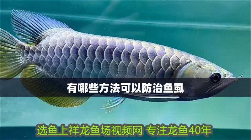 有哪些方法可以防治魚虱