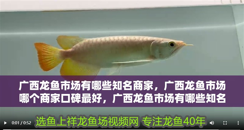 魚缸用增氧泵價格是多少:魚缸增氧機-xtrac增氧機-xtrac增氧機 廣西龍魚市場有哪些知名商家,廣西龍魚市場哪個商家口碑最好,廣西龍魚市場有哪些知名商家 龍魚百科 廣西龍魚市場有哪些知名商家,廣西龍魚市場哪個商家口碑最好,廣西龍魚市場有哪些知名商家 廣西龍魚市場有哪些知名商家,廣西龍魚市場哪個商家口碑最好,廣西龍魚市場有哪些知名商家 龍魚百科
