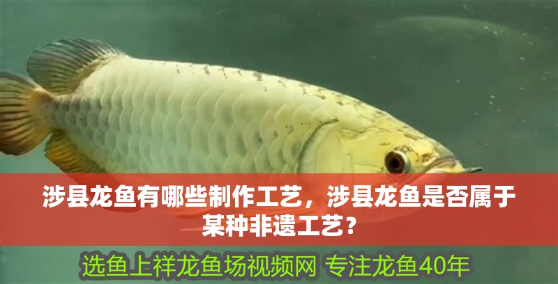 涉縣龍魚有哪些制作工藝，涉縣龍魚是否屬于某種非遺工藝？