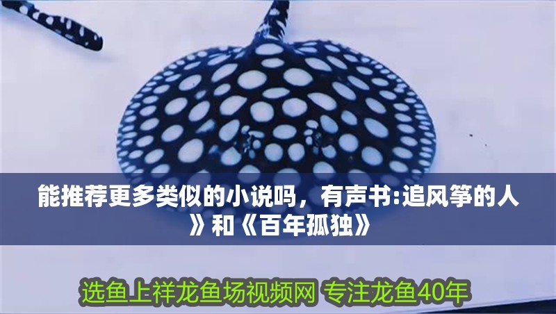 能推薦更多類似的小說(shuō)嗎，有聲書(shū):追風(fēng)箏的人》和《百年孤獨(dú)》