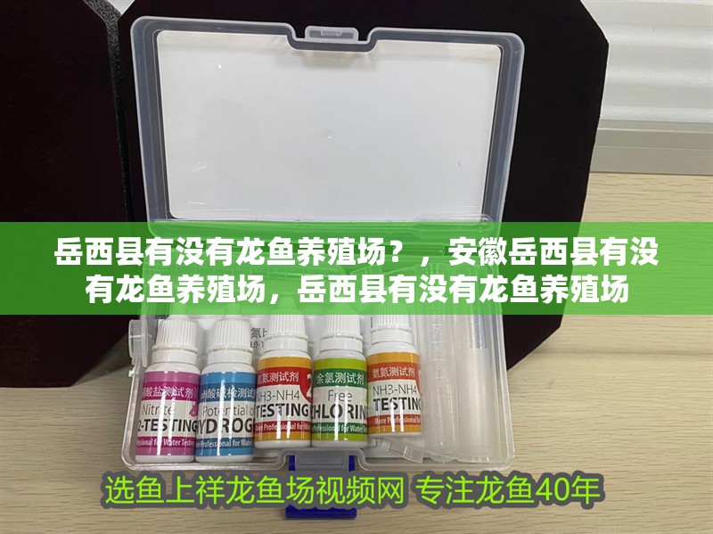 岳西縣有沒有龍魚養殖場？，<strong><mark>安徽</mark></strong>岳西縣有沒有龍魚養殖場，岳西縣有沒有龍魚養殖場