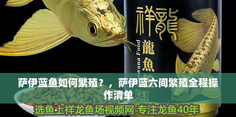 薩伊藍魚如何繁殖？，薩伊藍六間繁殖全程操作清單