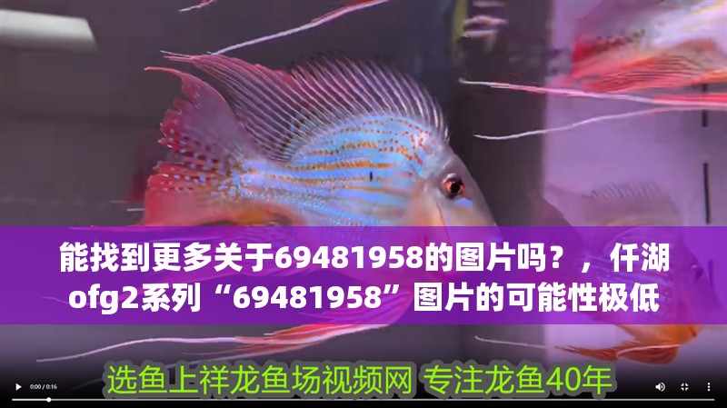能找到更多關于69481958的圖片嗎？，仟湖ofg2系列“69481958”圖片的可能性極低
