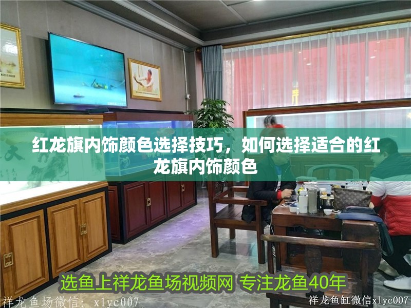 紅龍旗內(nèi)飾顏色選擇技巧，如何選擇適合的紅龍旗內(nèi)飾顏色