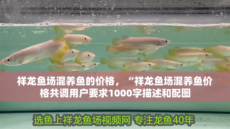 祥龍魚場的價格范圍是多少？