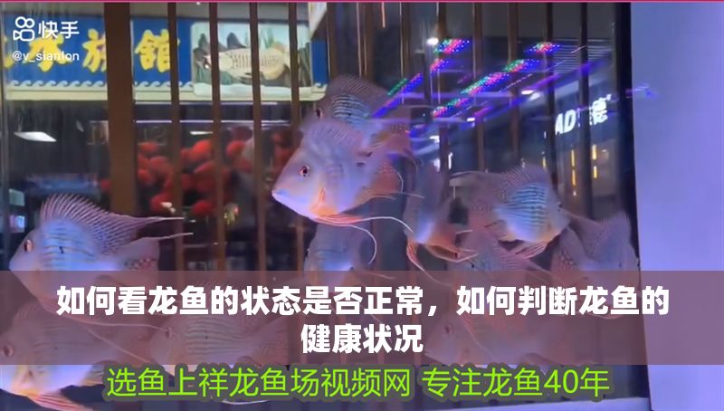 如何看龍魚的狀態(tài)是否正常，如何判斷龍魚的健康狀況