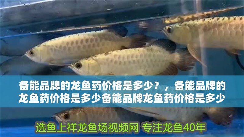 備能品牌的龍魚藥價(jià)格是多少？，備能品牌的龍魚藥價(jià)格是多少備能品牌龍魚藥價(jià)格是多少