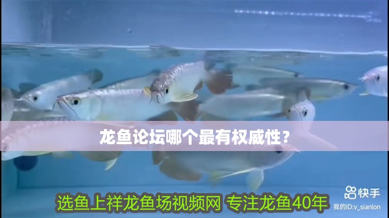 詳細閱讀:龍魚論壇哪個最有權威性? 龍魚論壇哪個最有權威性?