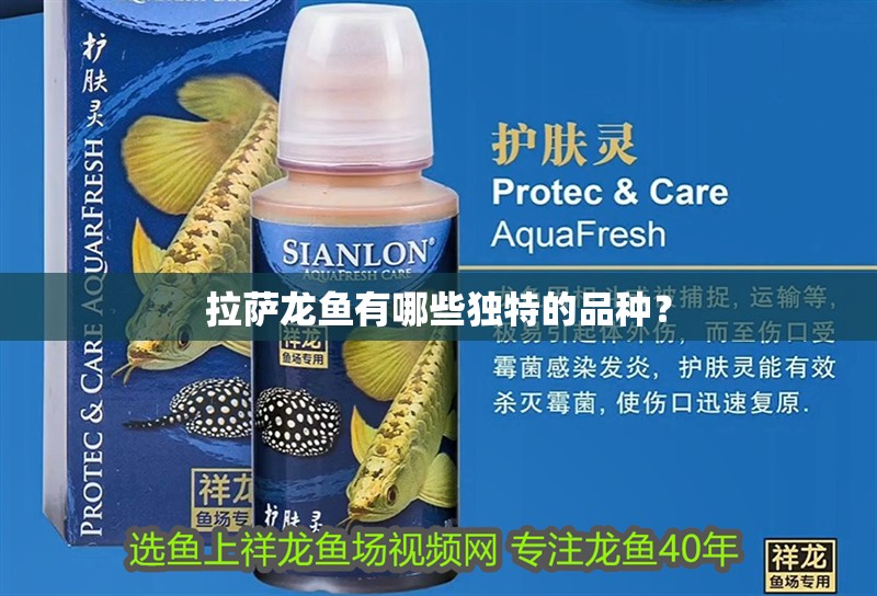 魚缸用增氧泵價格是多少:魚缸增氧機-xtrac增氧機-xtrac增氧機 拉薩龍魚有哪些獨特的品種? 龍魚百科 拉薩龍魚有哪些獨特的品種? 拉薩龍魚有哪些獨特的品種? 龍魚百科