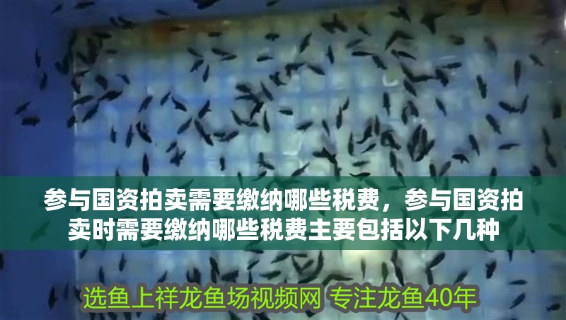 參與國資拍賣需要繳納哪些稅費，參與國資拍賣時需要繳納哪些稅費主要包括以下幾種