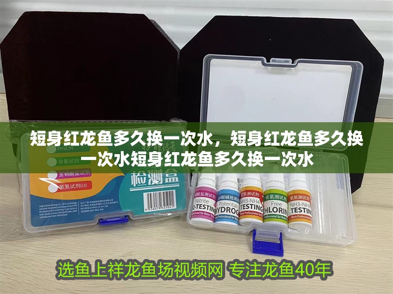 詳細閱讀:短身紅龍魚多久換一次水,短身紅龍魚多久換一次水短身紅龍魚多久換一次水 短身紅龍魚多久換一次水,短身紅龍魚多久換一次水短身紅龍魚多久換一次水