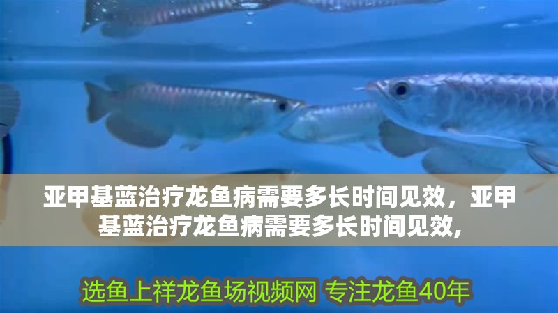 詳細閱讀:亞甲基藍治療龍魚病需要多長時間見效,亞甲基藍治療龍魚病需要多長時間見效, 亞甲基藍治療龍魚病需要多長時間見效,亞甲基藍治療龍魚病需要多長時間見效,