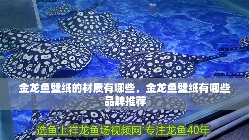 金龍魚壁紙的材質有哪些，金龍魚壁紙有哪些品牌推薦