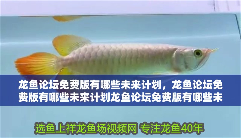 詳細閱讀:龍魚論壇免費版有哪些未來計劃,龍魚論壇免費版有哪些未來計劃龍魚論壇免費版有哪些未來計劃 龍魚論壇免費版有哪些未來計劃,龍魚論壇免費版有哪些未來計劃龍魚論壇免費版有哪些未來計劃