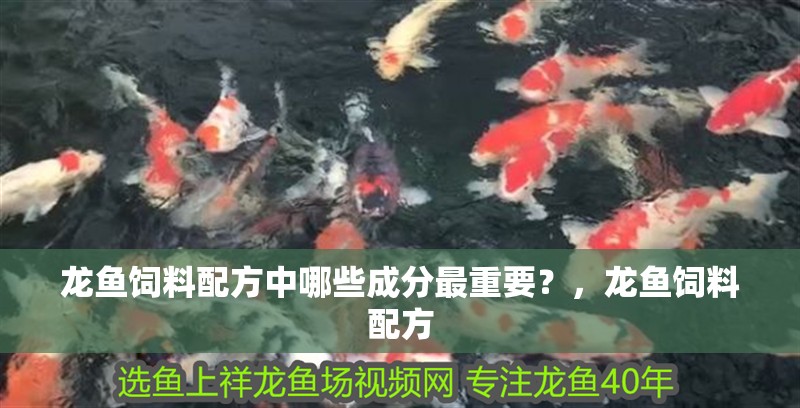 龍魚飼料配方中哪些成分最重要？，龍魚飼料配方