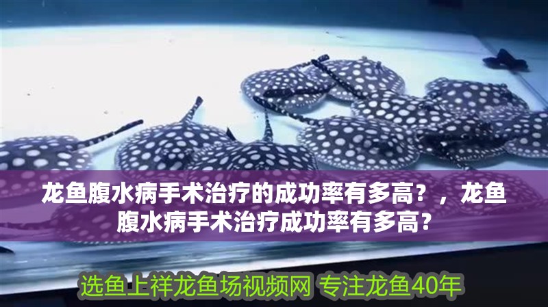 金龍魚油哪個規格最劃算，金龍魚油哪個規格最劃算哪個規格最劃算金龍魚油哪個最劃算