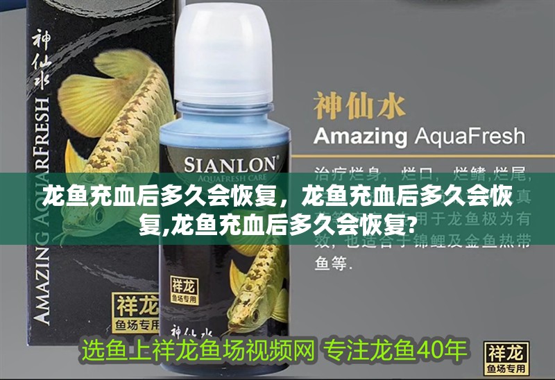 龍魚充血后多久會恢復，龍魚充血后多久會恢復,龍魚充血后多久會恢復?