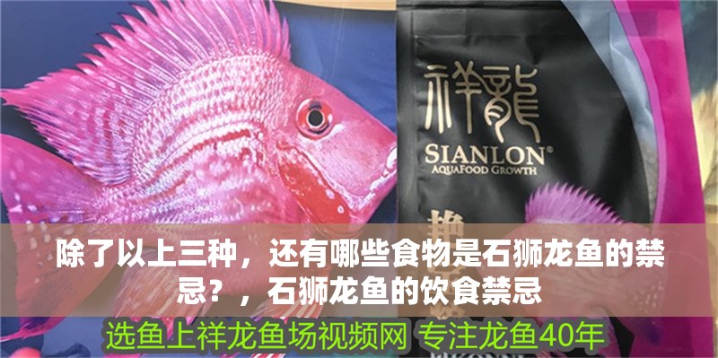 除了以上三種，還有哪些食物是石獅龍魚的禁忌？，石獅龍魚的飲食禁忌 除了以上三種，還有哪些食物是石獅龍魚的禁忌？，石獅龍魚的飲食禁忌 龍魚百科