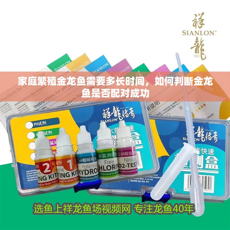 家庭繁殖金龍魚需要多長(zhǎng)時(shí)間，如何判斷金龍魚是否配對(duì)成功