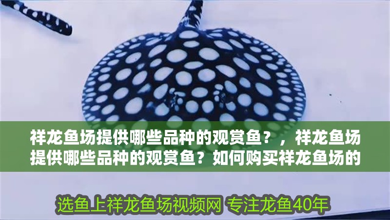 祥龍魚場提供哪些品種的觀賞魚？，祥龍魚場提供哪些品種的觀賞魚？如何購買祥龍魚場的觀賞魚？