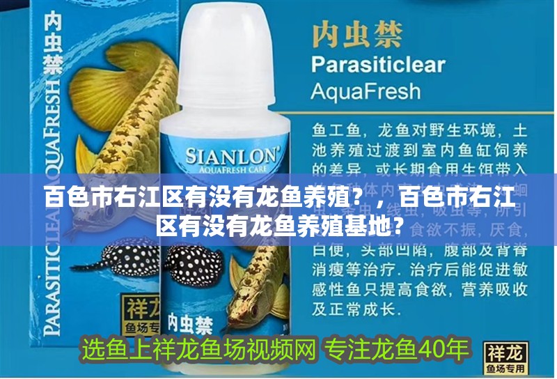 百色市右江區有沒有龍魚養殖？，百色市右江區有沒有龍魚養殖基地？