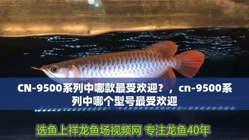 CN-9500系列中哪款最受歡迎？，cn-9500系列中哪個型號最受歡迎