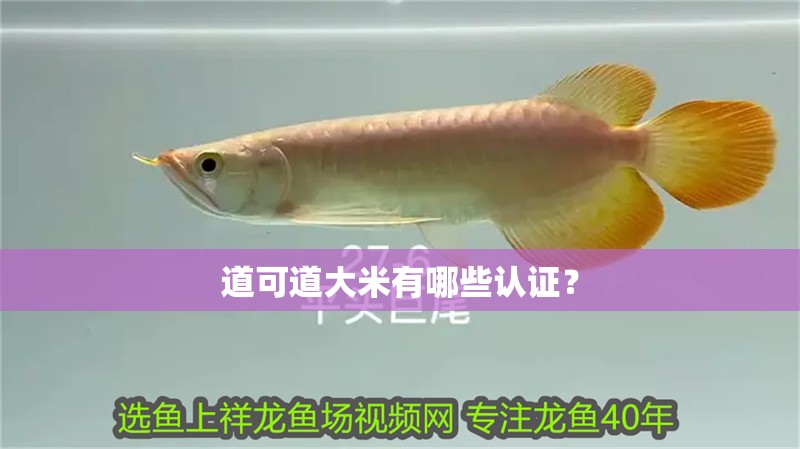 道可道大米有哪些認證？
