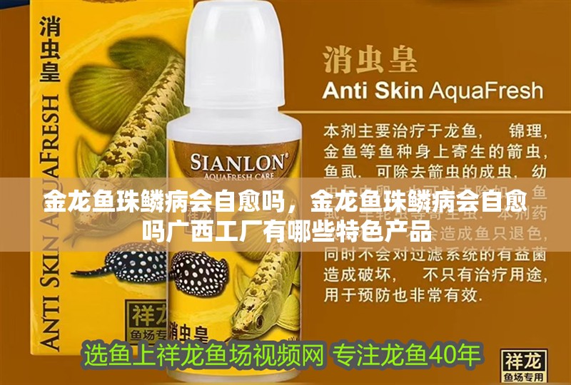 詳細(xì)閱讀:金龍魚珠鱗病會自愈嗎,金龍魚珠鱗病會自愈嗎廣西工廠有哪些特色產(chǎn)品 金龍魚珠鱗病會自愈嗎,金龍魚珠鱗病會自愈嗎廣西工廠有哪些特色產(chǎn)品