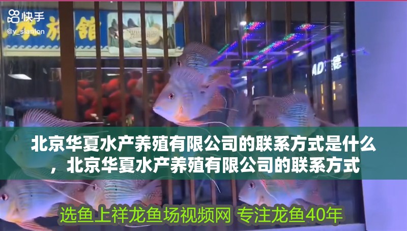 北京華夏水產養殖有限公司的聯系方式是什么，北京華夏水產養殖有限公司的聯系方式