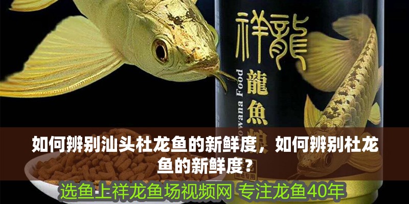 如何辨別汕頭杜龍魚的新鮮度，如何辨別杜龍魚的新鮮度？