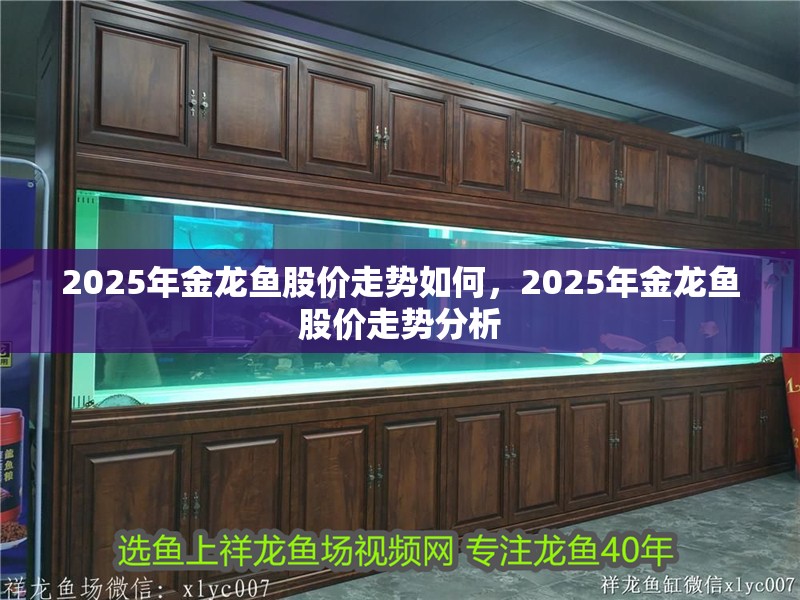 2025年金龍魚股價走勢如何，2025年金龍魚股價走勢分析
