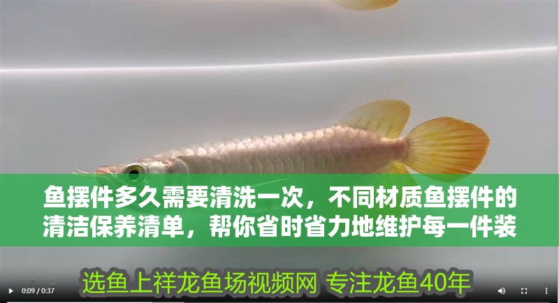 詳細閱讀:魚擺件多久需要清洗一次,不同材質魚擺件的清潔保養清單,幫你省時省力地維護每一件裝飾 魚擺件多久需要清洗一次,不同材質魚擺件的清潔保養清單,幫你省時省力地維護每一件裝飾