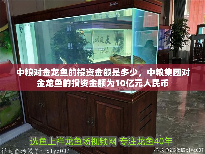 詳細閱讀:中糧對金龍魚的投資金額是多少,中糧集團對金龍魚的投資金額為10億元人民幣 中糧對金龍魚的投資金額是多少,中糧集團對金龍魚的投資金額為10億元人民幣