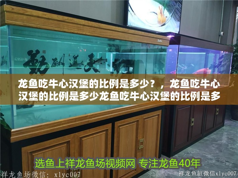 龍魚吃牛心漢堡的比例是多少？，龍魚吃牛心漢堡的比例是多少龍魚吃牛心漢堡的比例是多少 龍魚吃牛心漢堡的比例是多少？，龍魚吃牛心漢堡的比例是多少龍魚吃牛心漢堡的比例是多少 龍魚百科