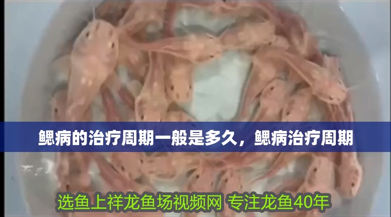 鰓病的治療周期一般是多久，鰓病治療周期