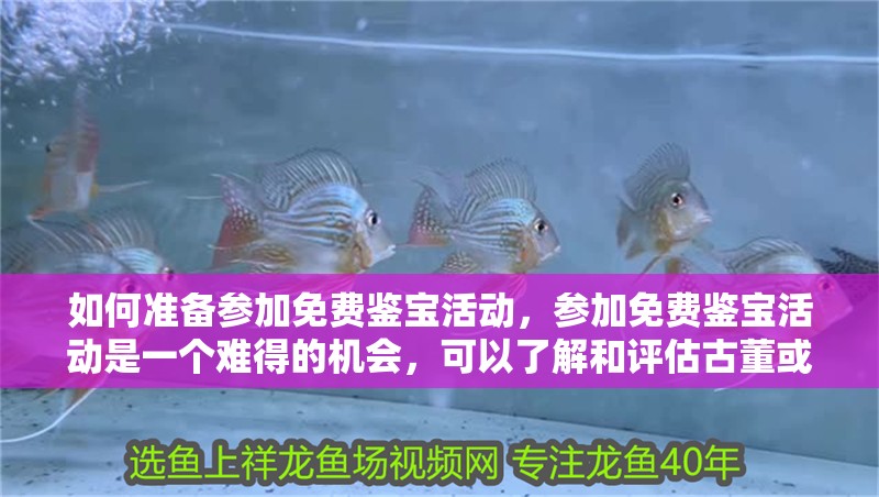 如何準備參加免費鑒寶活動，參加免費鑒寶活動是一個難得的機會，可以了解和評估古董或文物的價值