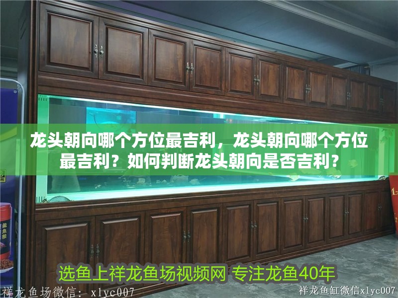 龍頭朝向哪個方位最吉利，龍頭朝向哪個方位最吉利？如何判斷龍頭朝向是否吉利？