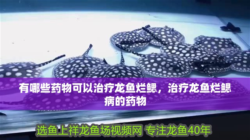 有哪些藥物可以治療龍魚爛鰓，治療龍魚爛鰓病的藥物