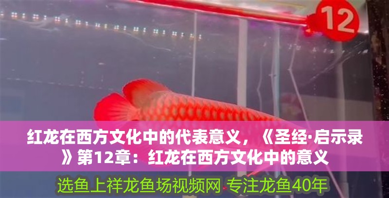 紅龍在西方文化中的代表意義，《圣經(jīng)·啟示錄》第12章：紅龍在西方文化中的意義