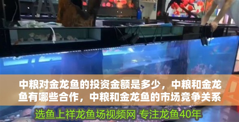 中糧對金龍魚的投資金額是多少，中糧和金龍魚有哪些<strong><mark>合作</mark></strong>，中糧和金龍魚的市場競爭關(guān)系