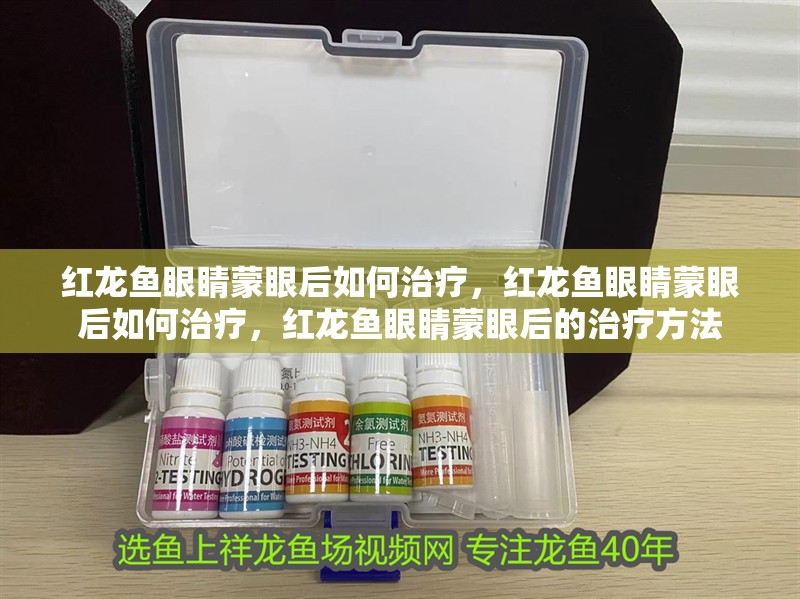 詳細閱讀:紅龍魚眼睛蒙眼后如何治療,紅龍魚眼睛蒙眼后如何治療,紅龍魚眼睛蒙眼后的治療方法 紅龍魚眼睛蒙眼后如何治療,紅龍魚眼睛蒙眼后如何治療,紅龍魚眼睛蒙眼后的治療方法